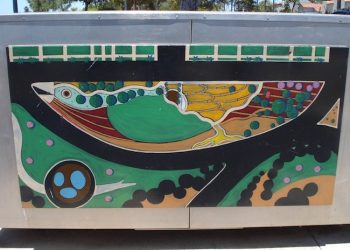 A tale of two swimming holes