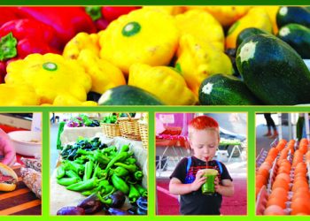 Reporting for rose duty