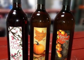 Helping the ‘working hard but falling short’