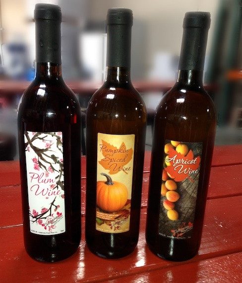 A family winemaking affair