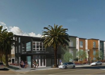 Customized Japanese fare