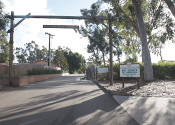 Barbarian at the gates