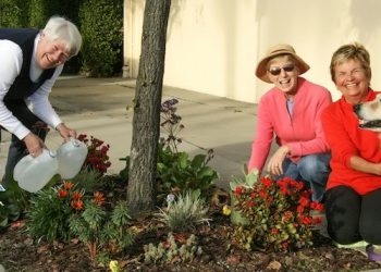 Splashing down in North Park