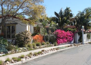 Young minds blossom with growth of school garden
