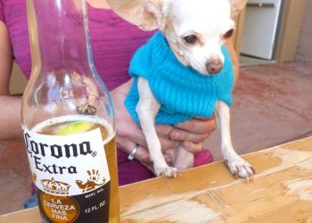 Whole Foods Market Hillcrest to celebrate remodel