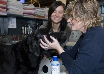 Whole Foods Market Hillcrest to celebrate remodel