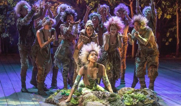 Dreaming of a ‘Dream’