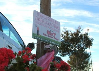 Vegan meals for carnivores