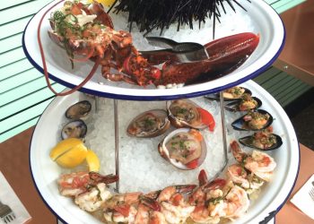 Fin-tabulous, the joy of keeping fish