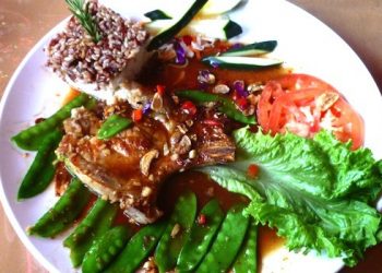 Caring for your pet ... naturally!