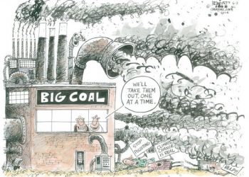 Nicholls returns to HBA