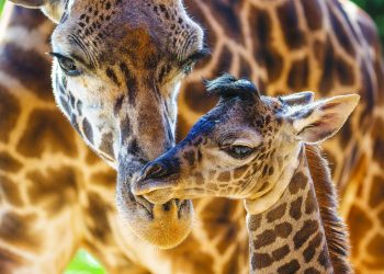 Young, Catholic and queer