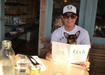 Go green — and pay for it with your tax bill