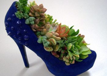 A celebration of the epic, the rad and the future