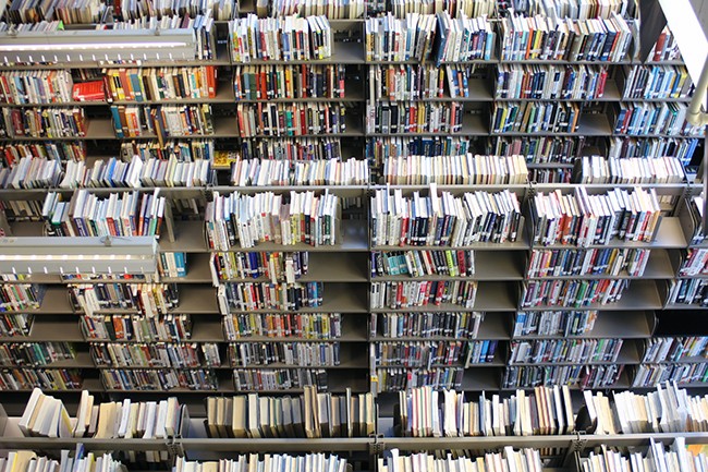 One year under the dome