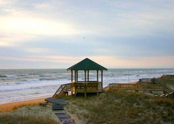 Notes from Toni – July 2015