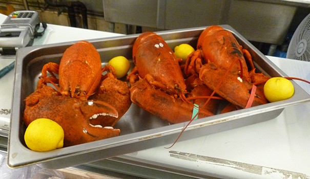 Oceanic surprises from a liquor store