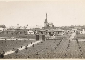 Beauty is only skin deep