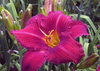 TargetExpress in South Park to open Oct. 7