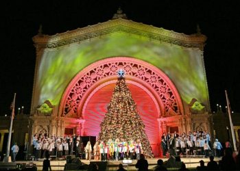 Life in the fun zone