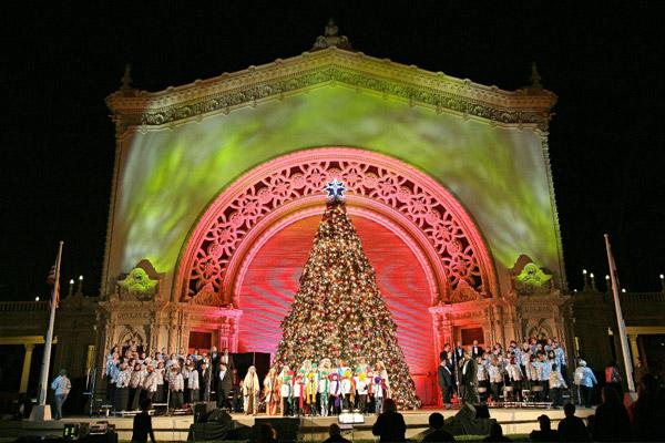 Life in the fun zone