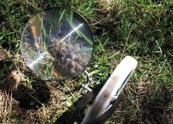 Uptown News Food Briefs: June 1, 2018