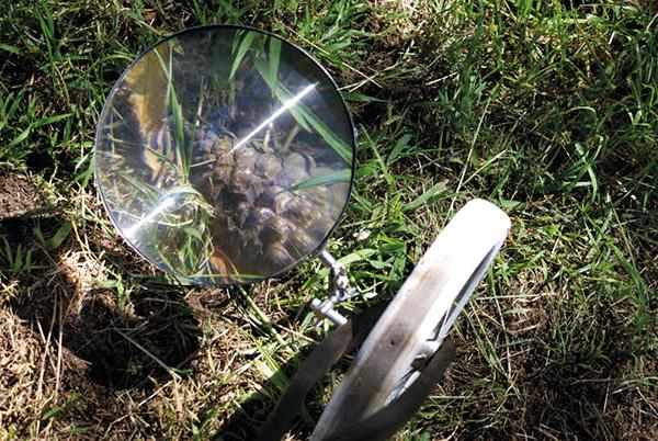 Calendar: May 18 - 31, 2018