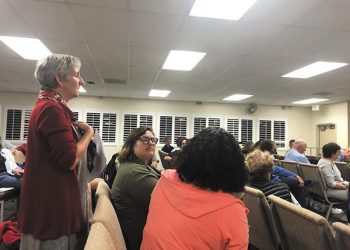 OPINION: Save Open Space: Support Option B for Fiesta Island