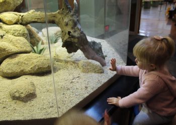 Uptown’s LGBT+ women gain political strength