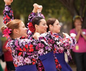 From La Jolla with love: Author writes about his intrigue with San Diego’s ‘main attraction’