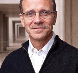 Have you seen this tortoise?