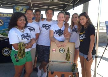 Zapf leads public charge to restore the Plunge to working order