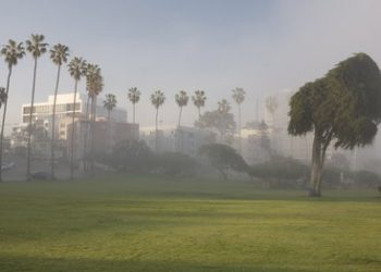 From La Jolla with love: Author writes about his intrigue with San Diego’s ‘main attraction’