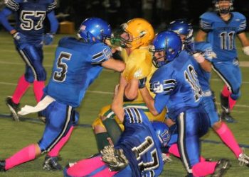 Top bird photographer has ‘secret spot’ in La Jolla