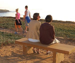 ‘New Cool School’ artists exhibit at Scott White Gallery