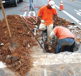 Bohemian Rhapsody: No reason to be bleu over bistro’s new ownership