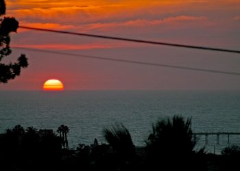 Arts Calendar – June 24 – July 14