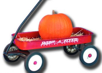 From La Jolla with love: Author writes about his intrigue with San Diego’s ‘main attraction’