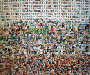 Top bird photographer has ‘secret spot’ in La Jolla