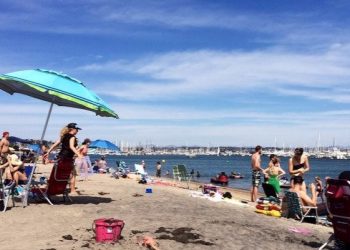 Good Dog Pet Outfitters grand opening celebration set for Oct. 7