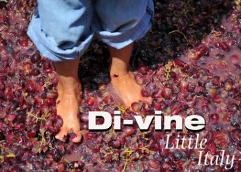 Jazz on the Green has elixir for money-strapped school music program