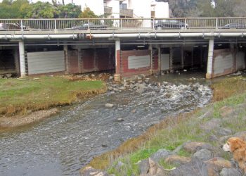 SDPD investigating swastikas found in Pacific Beach, La Jolla