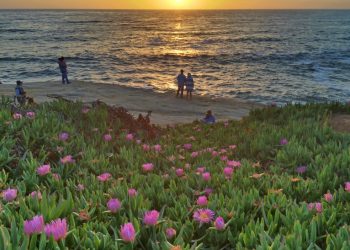 Community news and briefs for Ocean Beach and Point Loma