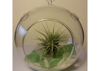 Parks and Beaches checks out new Cove Pavilion plans