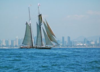 Service and selection at Mark's Guitar Exchange