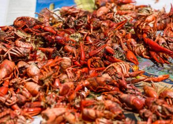 Splish, splash! “Singin’ in the Rain” hits the stage