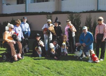 LJ Town Council officials vow Christmas parade will go on, but $30,000 still needed