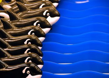 Guest Editorial: Police work needs more transparency