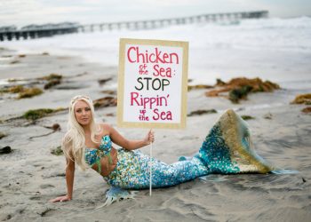 Queens of Boogie Woogie to play at Dizzy’s