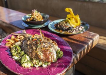 Ocean Beach Holiday Parade, tree lighting set for Dec. 1